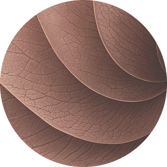 TEREA Teak