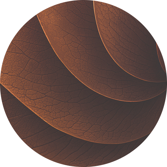 TEREA Bronze