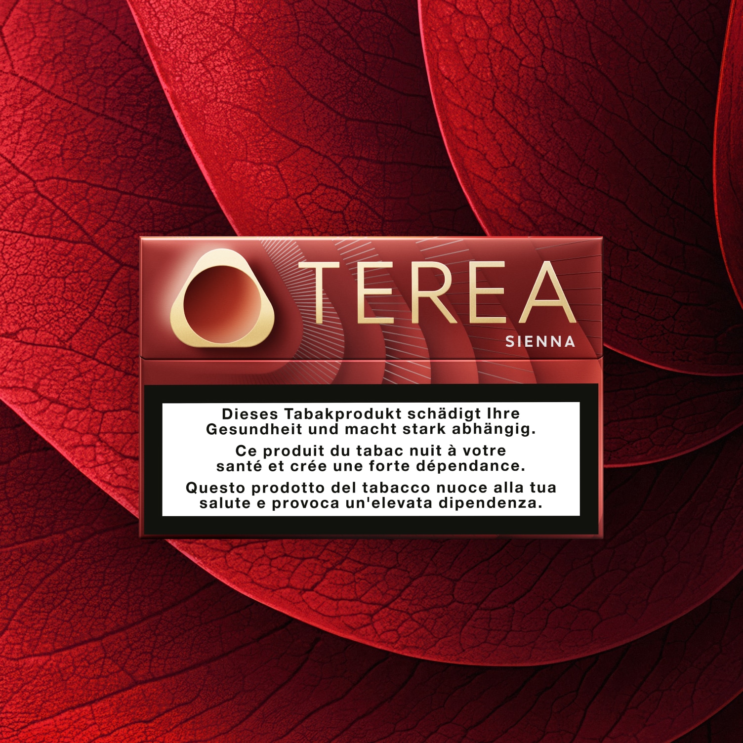 A pack of  Terea Sienna on a rock