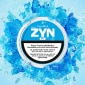 Cool Mint Mini 3 MG image number 0.0