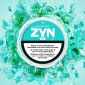 Spearmint Mini 3 MG image number 0.0
