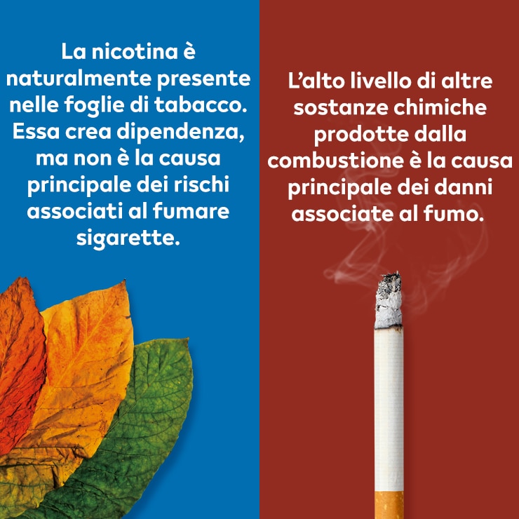 Banner della campagna sulla nicotina.