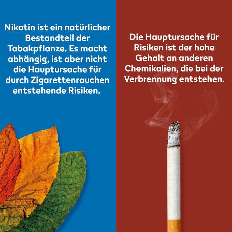 Banner der Nikotin-Kampagne.