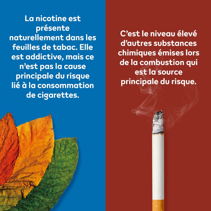 Bannière de campagne sur la nicotine.