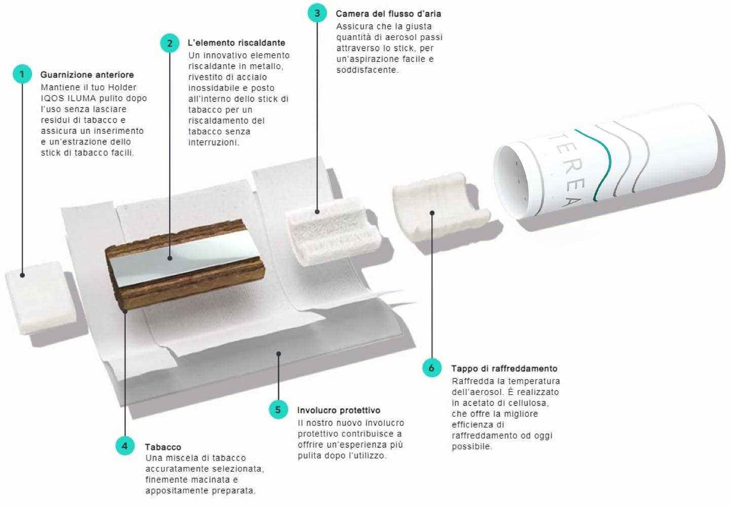 Articolo del Club TEREA Stick.