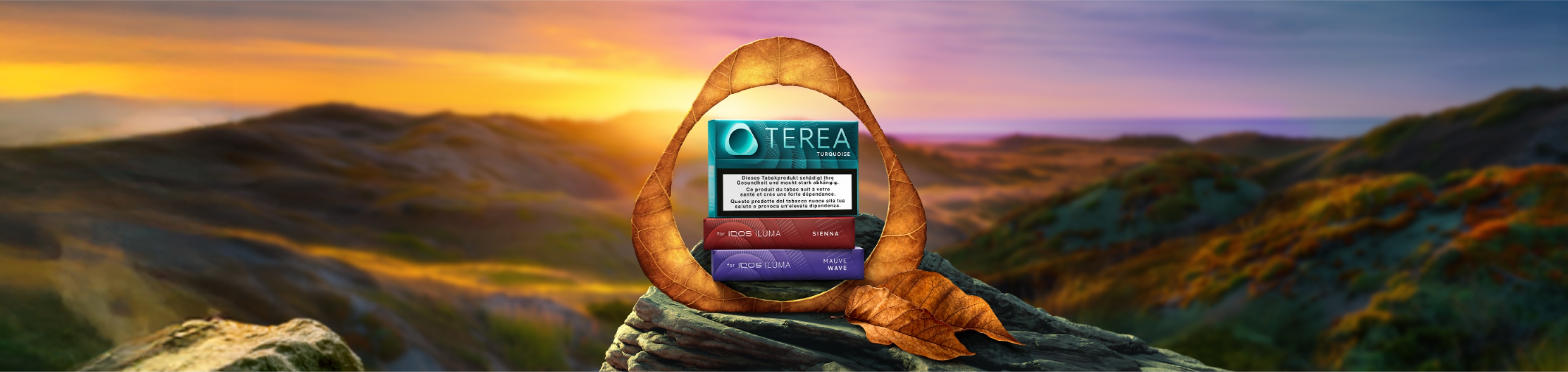 3 paquets de Terea – Turquoise, Sienna et Mauve Wave – sur un rocher, entourés de l’insigne IQOS dans une teinte couleur tabac.
