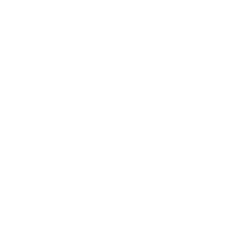 video button